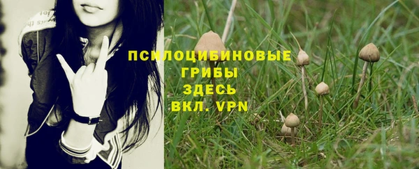 ГАЛЛЮЦИНОГЕННЫЕ ГРИБЫ Верхнеуральск