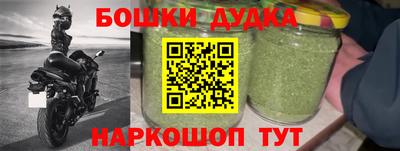 прущие грибы Ирбит
