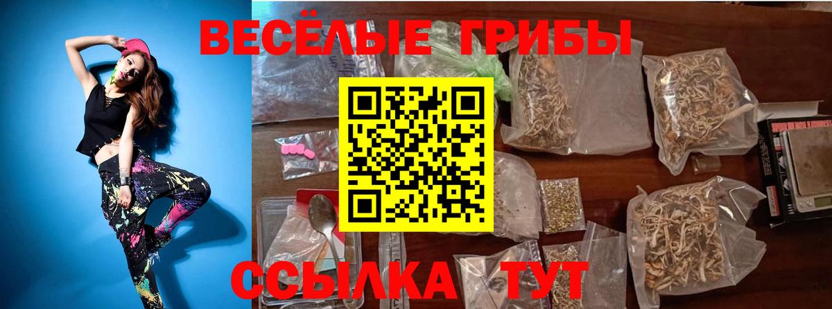 Псилоцибиновые грибы прущие грибы Можайск
